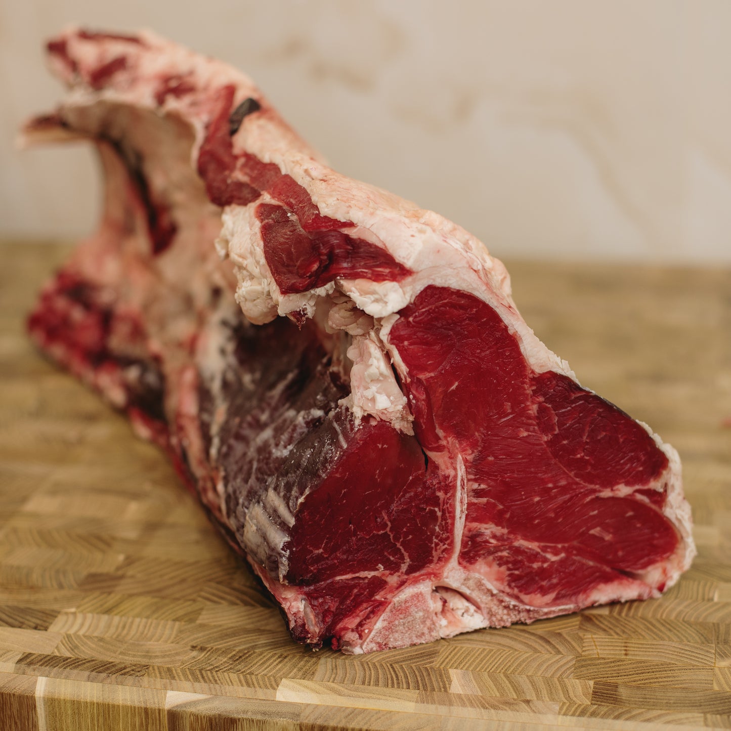 SCOTTONA T-BONE