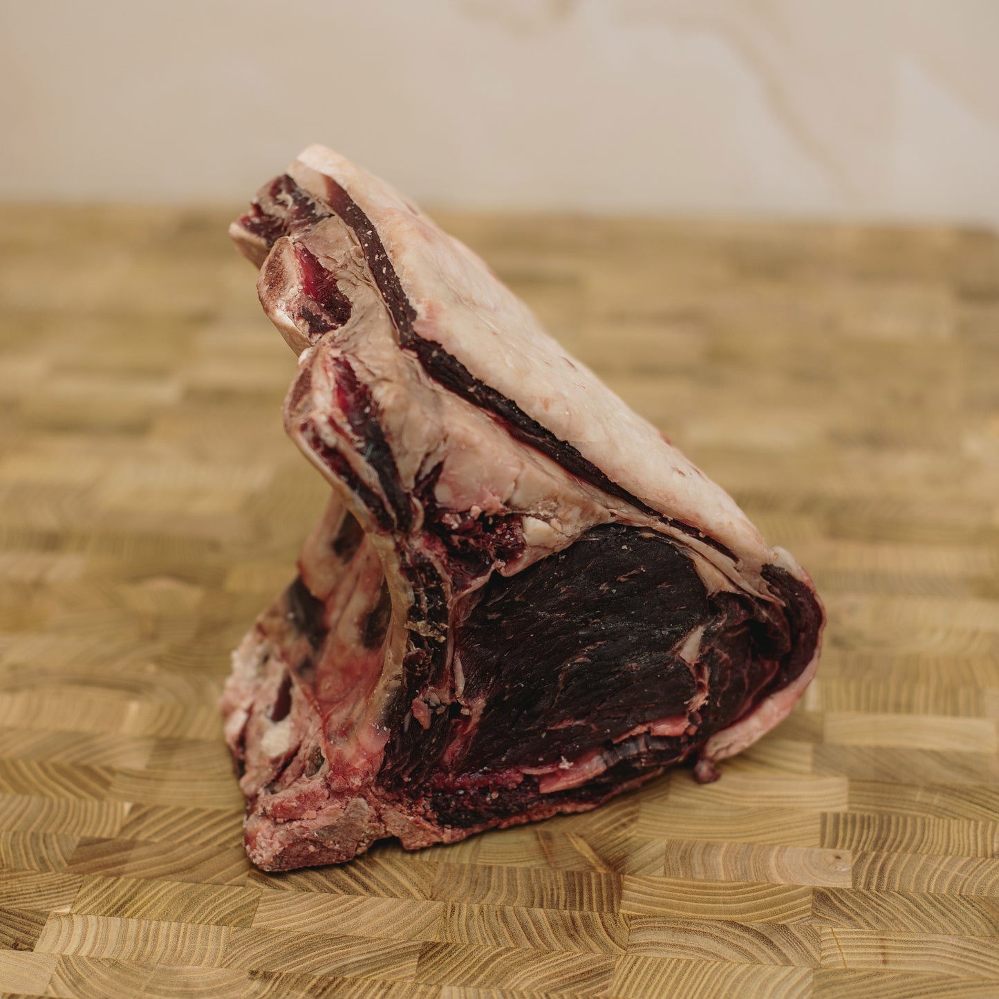SCOTTONA RIB