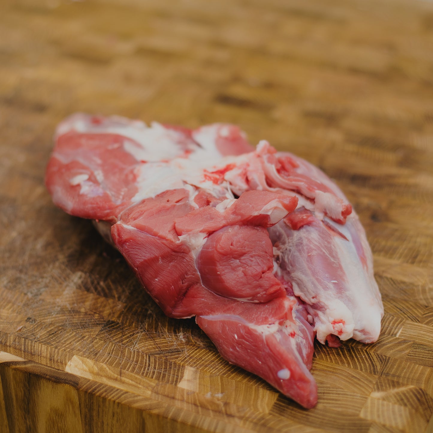 ANTERIOR MUSCLE