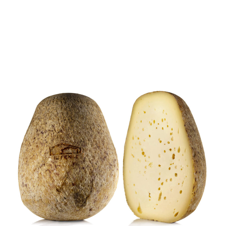SCHIENA D’ASINO GIOVANE