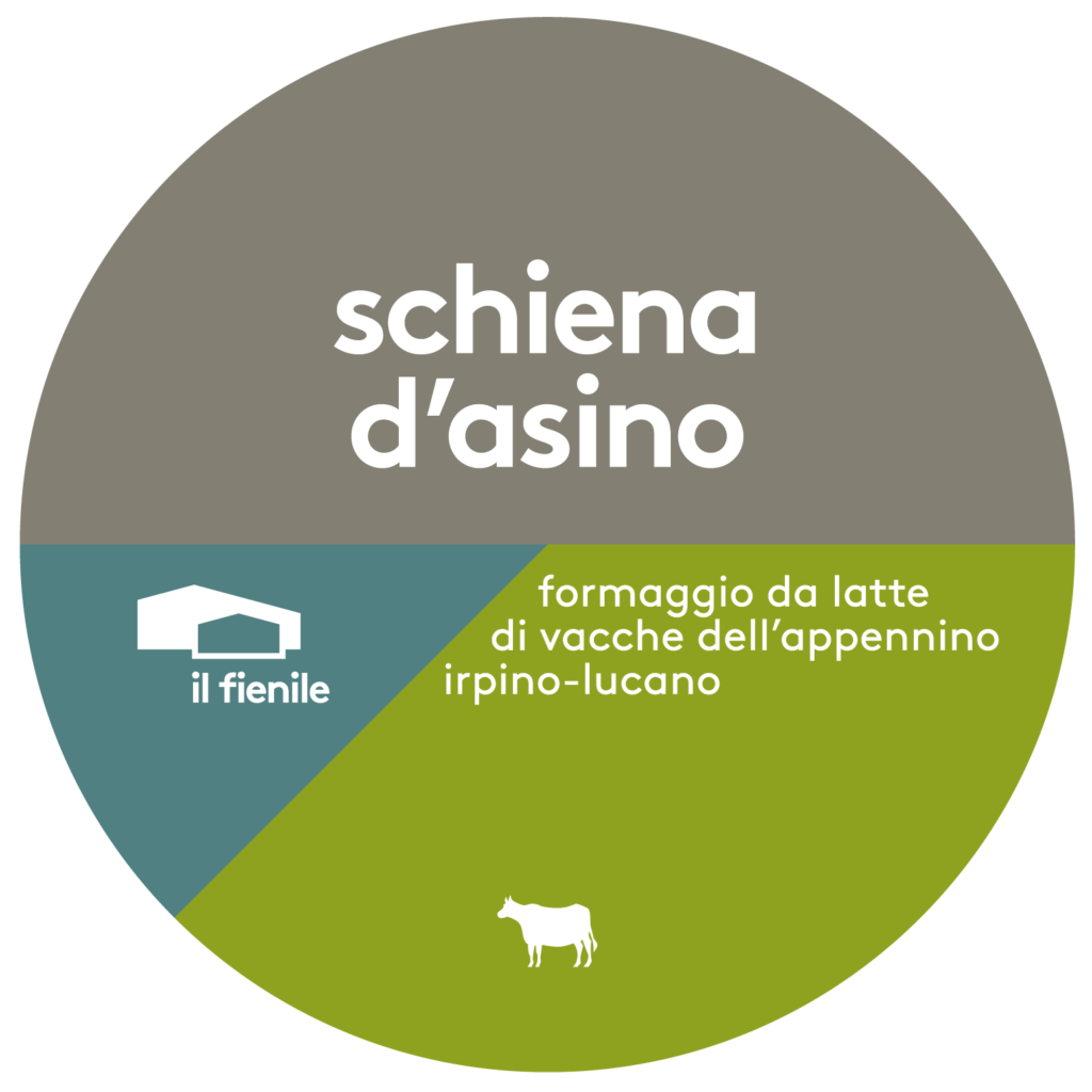 SCHIENA D’ASINO GIOVANE