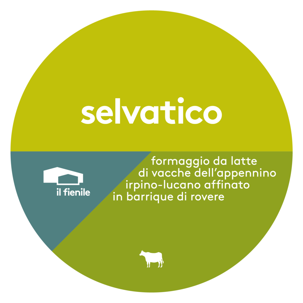 Selvatico – Formaggio a Pasta Dura Affinato al Fieno di Montagna